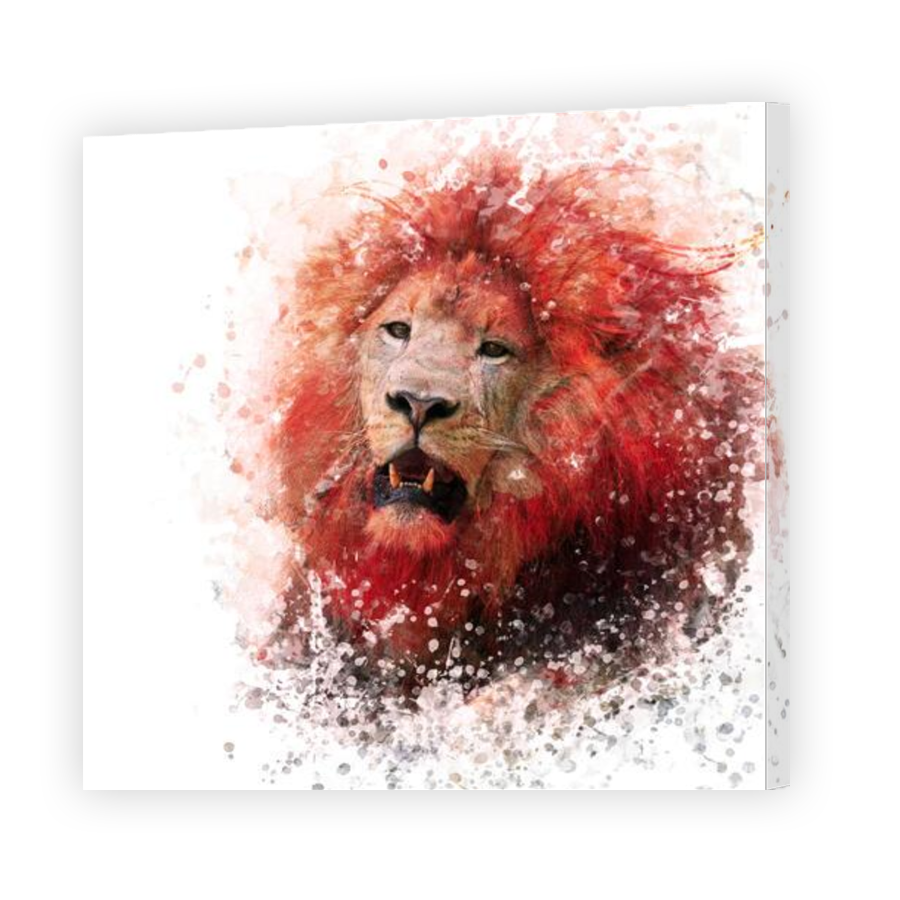Thumbnail for Canvas - Gallery Canvas Wrap
