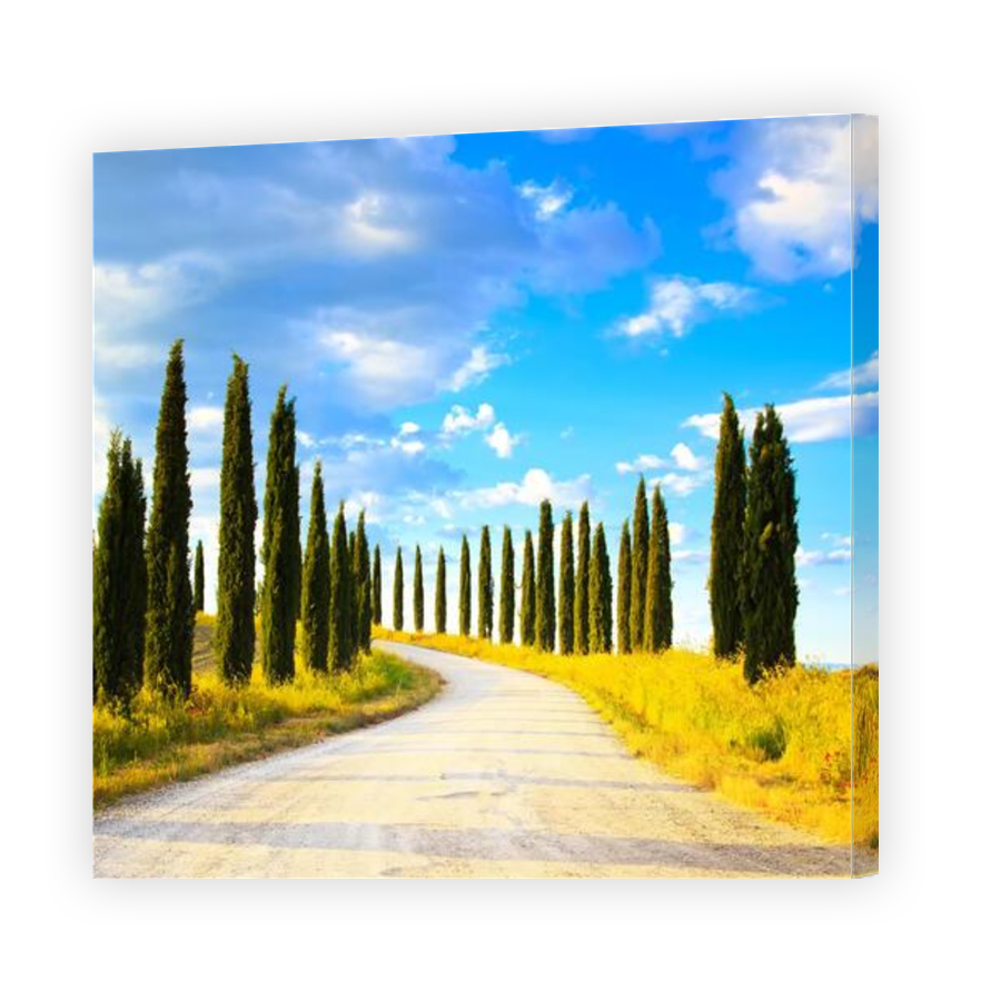 Thumbnail for Canvas - Gallery Canvas Wrap