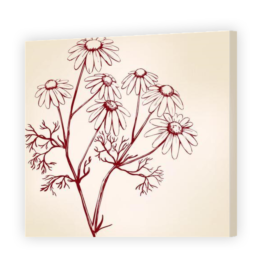 Thumbnail for Canvas - Gallery Canvas Wrap