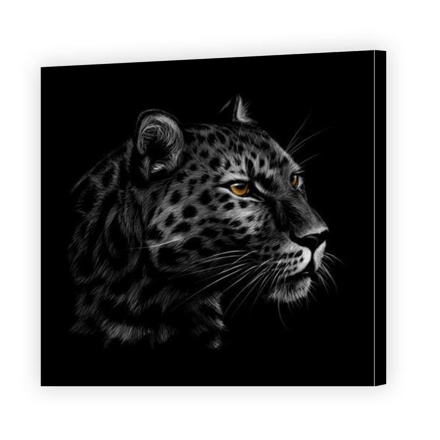 Thumbnail for Canvas - Gallery Canvas Wrap