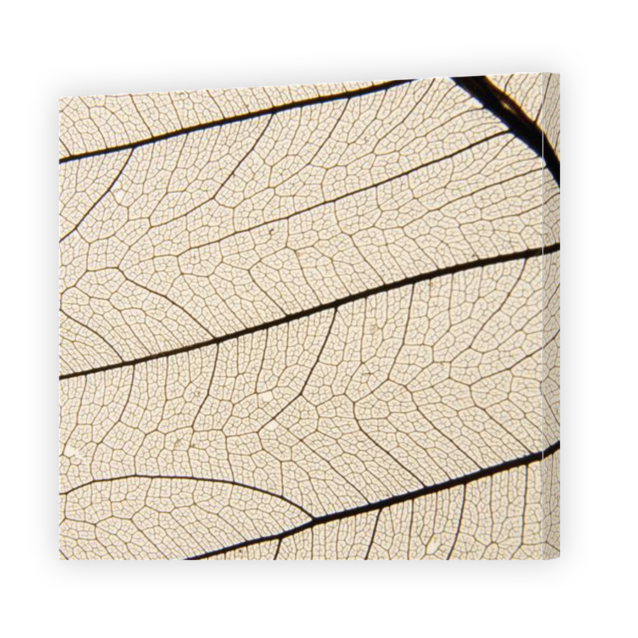 Thumbnail for Canvas - Gallery Canvas Wrap
