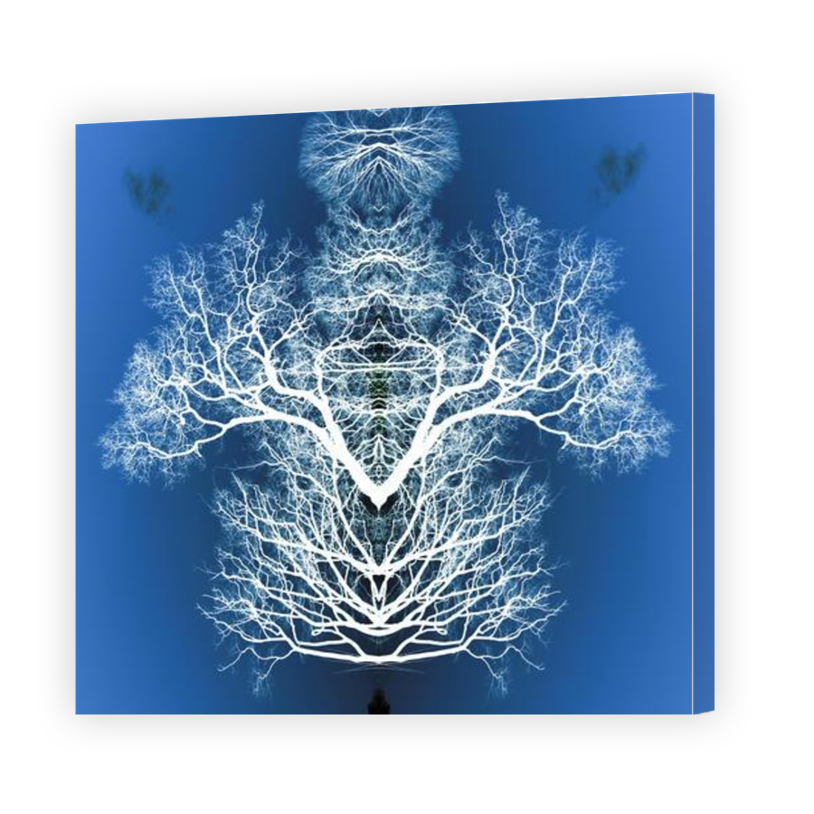 Thumbnail for Canvas - Gallery Canvas Wrap