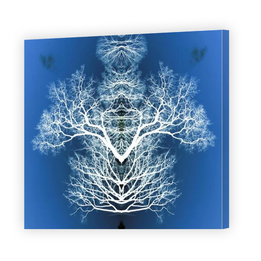 Thumbnail for Canvas - Gallery Canvas Wrap