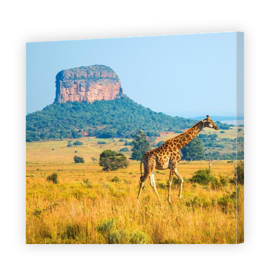 Thumbnail for Canvas - Gallery Canvas Wrap