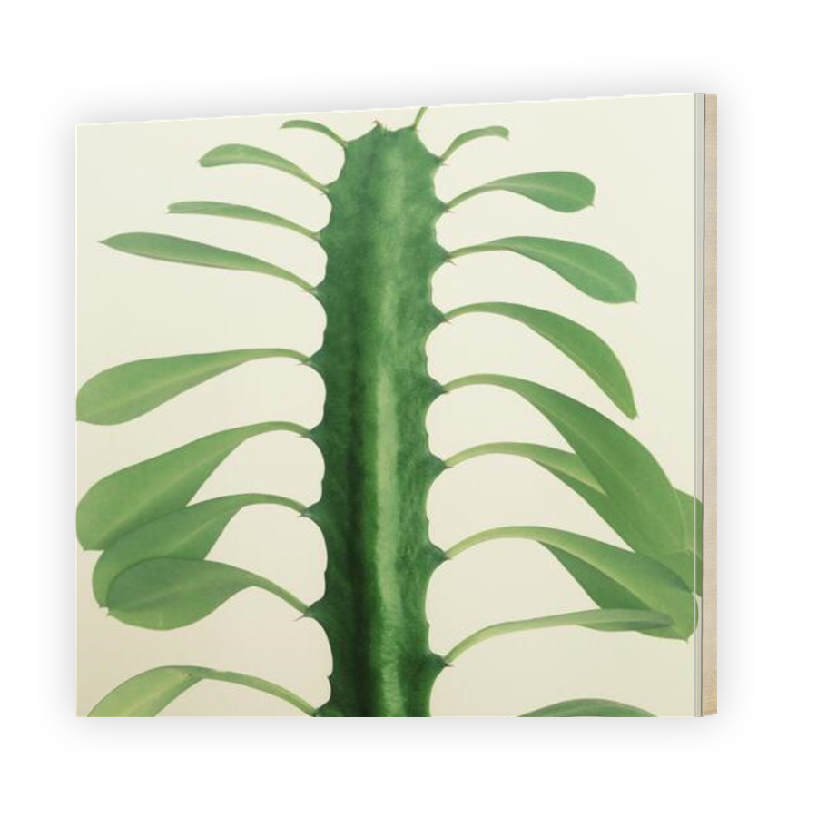 Thumbnail for Canvas - Gallery Canvas Wrap