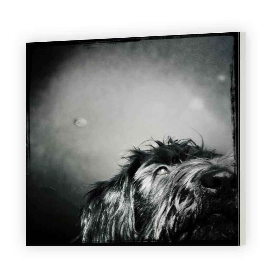 Thumbnail for Canvas - Gallery Canvas Wrap