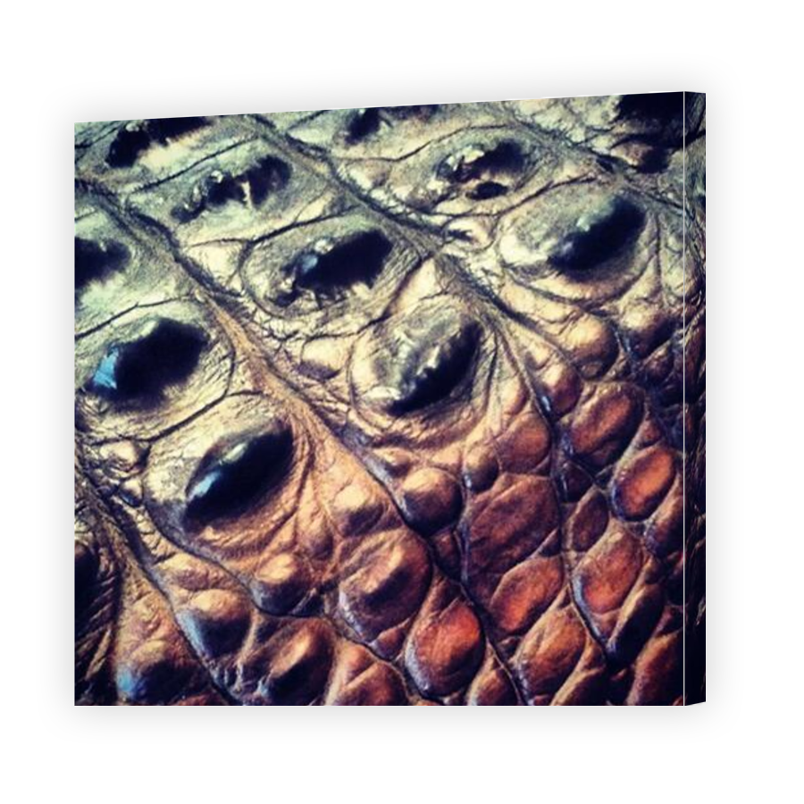 Thumbnail for Canvas - Gallery Canvas Wrap