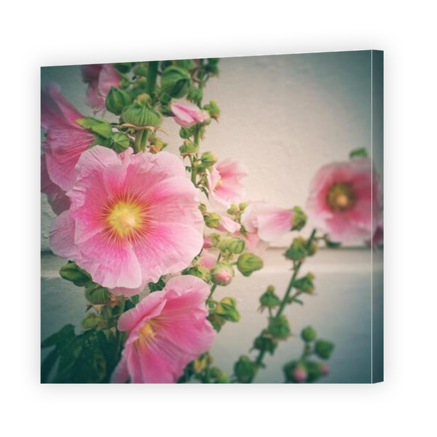 Thumbnail for Canvas - Gallery Canvas Wrap
