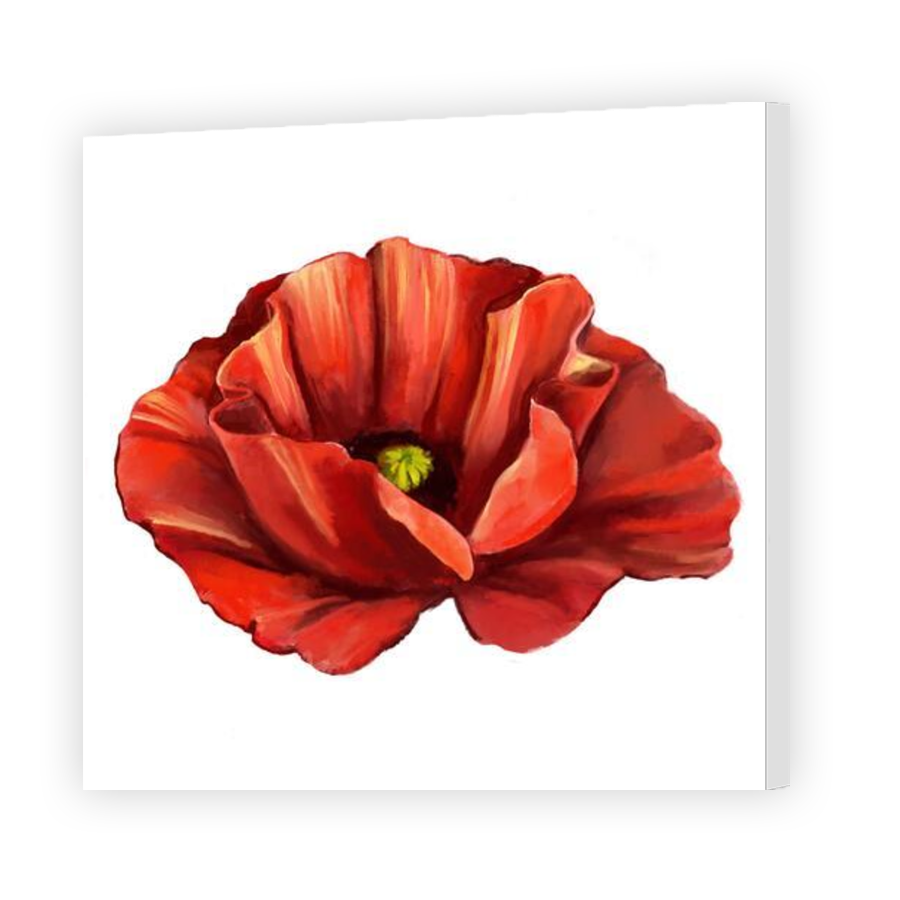 Thumbnail for Canvas - Gallery Canvas Wrap
