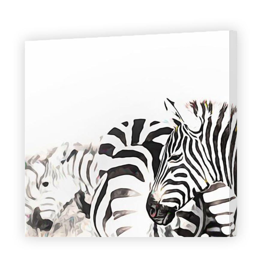 Thumbnail for Canvas - Gallery Canvas Wrap