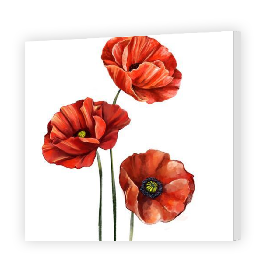 Thumbnail for Canvas - Gallery Canvas Wrap