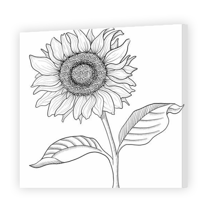 Thumbnail for Canvas - Gallery Canvas Wrap