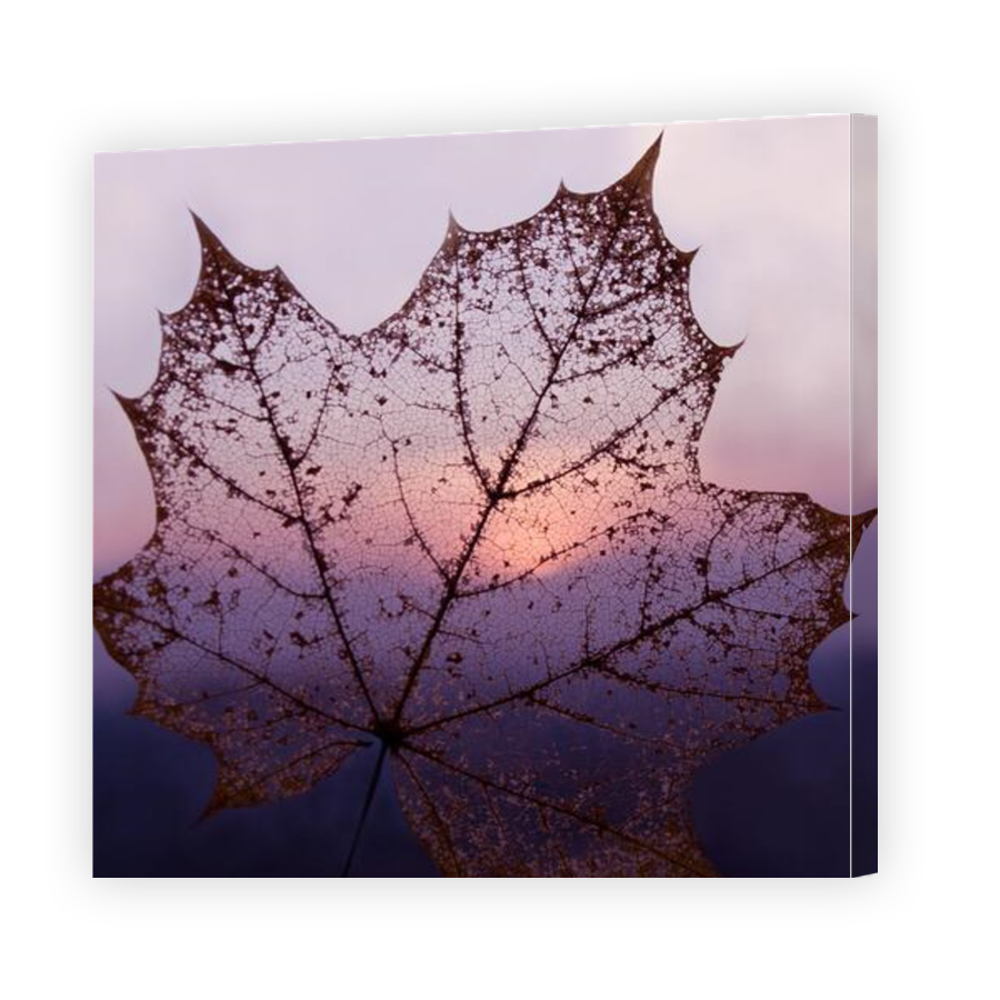 Thumbnail for Canvas - Gallery Canvas Wrap