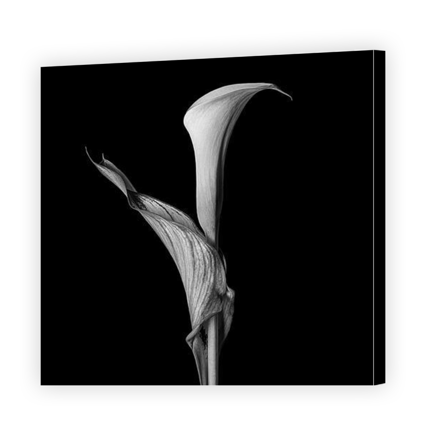 Thumbnail for Canvas - Gallery Canvas Wrap