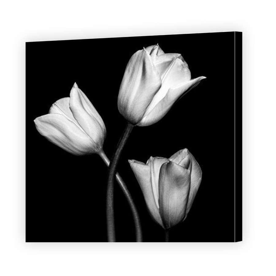 Thumbnail for Canvas - Gallery Canvas Wrap