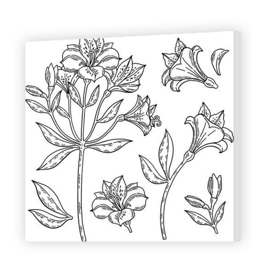 Thumbnail for Canvas - Gallery Canvas Wrap