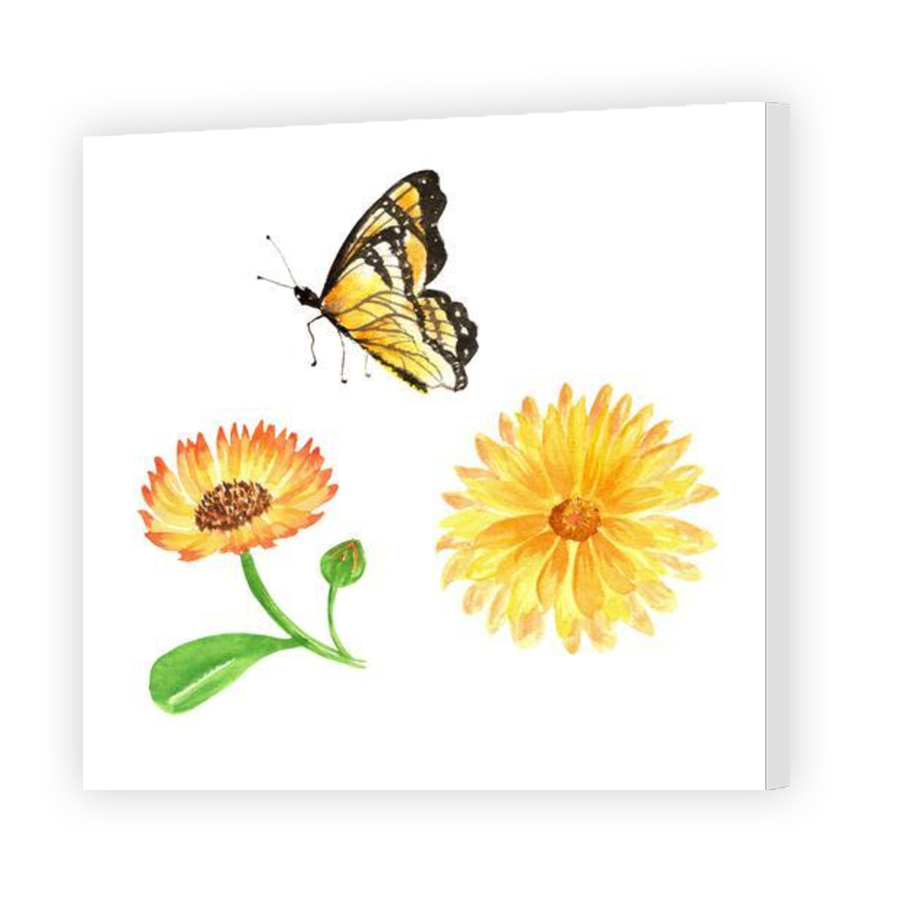 Thumbnail for Canvas - Gallery Canvas Wrap