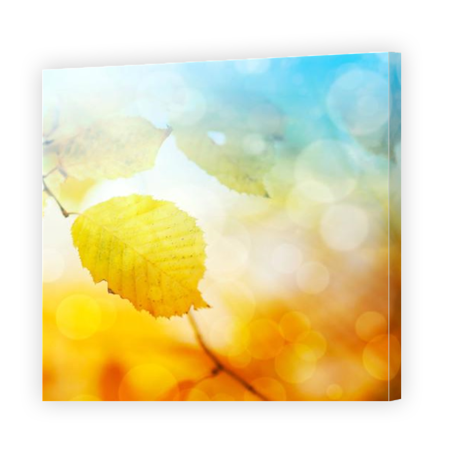 Thumbnail for Canvas - Gallery Canvas Wrap