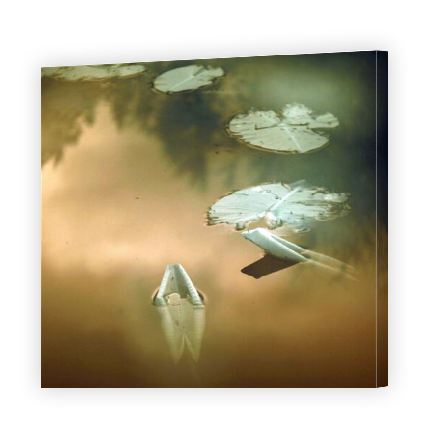 Thumbnail for Canvas - Gallery Canvas Wrap