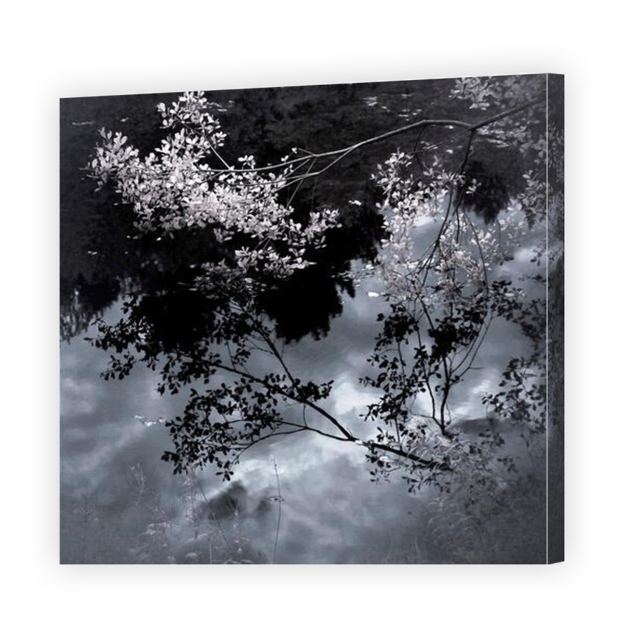 Thumbnail for Canvas - Gallery Canvas Wrap