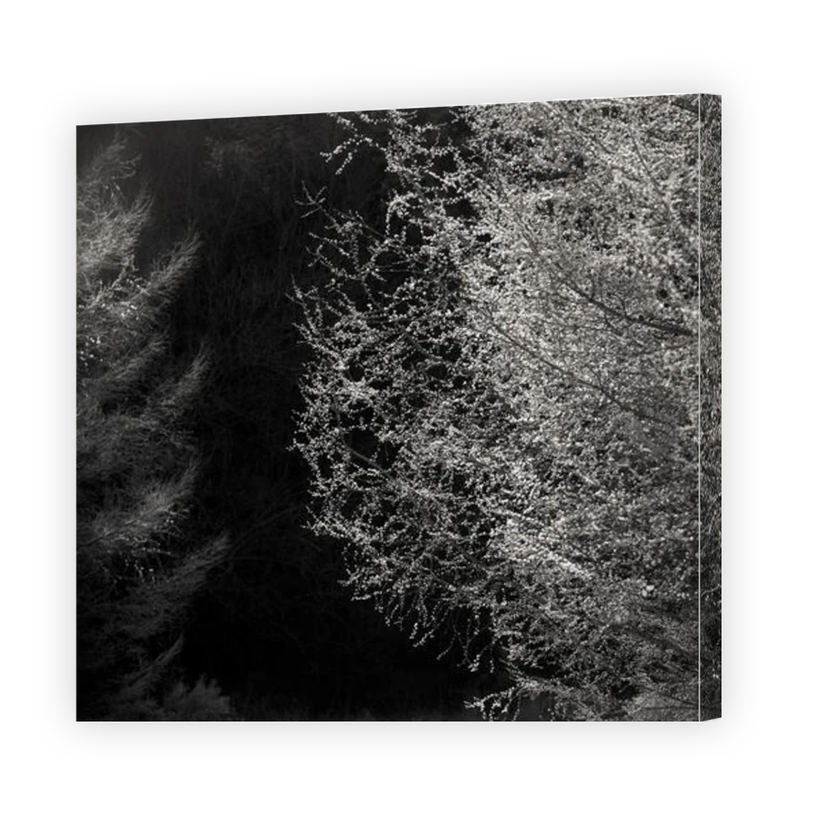 Thumbnail for Canvas - Gallery Canvas Wrap