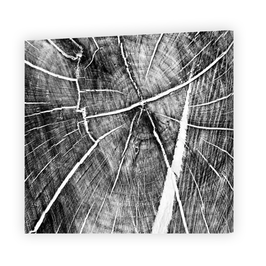 Thumbnail for Canvas - Gallery Canvas Wrap