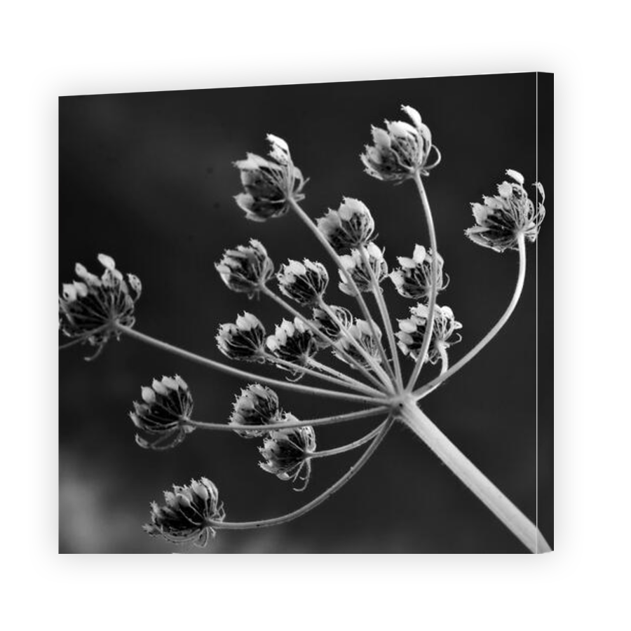 Thumbnail for Canvas - Gallery Canvas Wrap