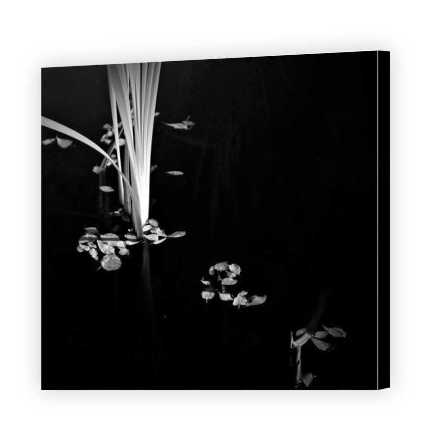 Thumbnail for Canvas - Gallery Canvas Wrap