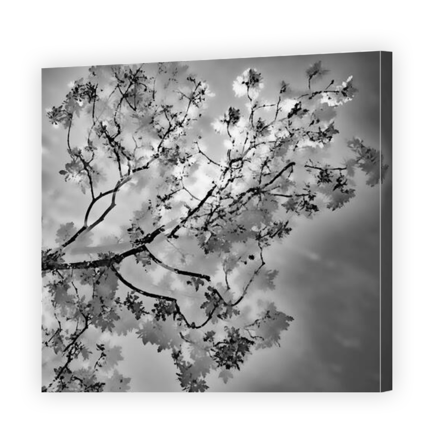 Thumbnail for Canvas - Gallery Canvas Wrap