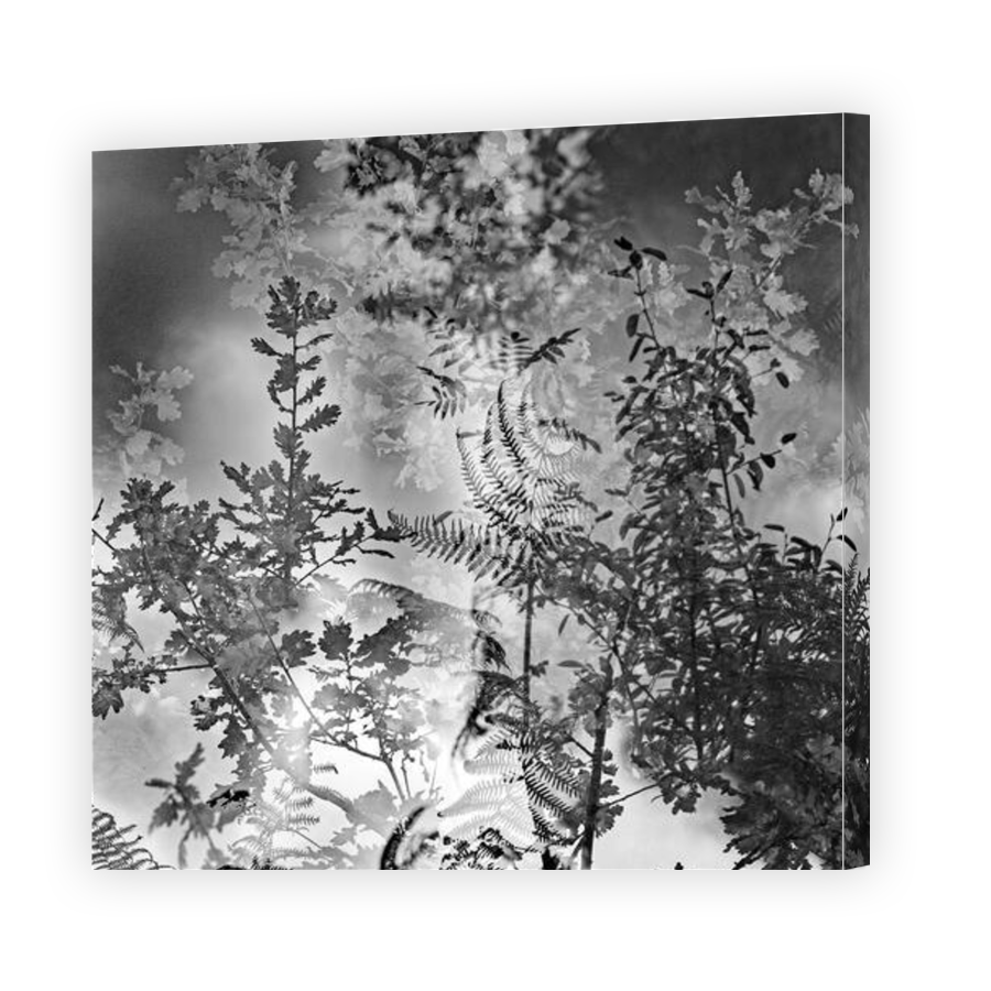 Thumbnail for Canvas - Gallery Canvas Wrap