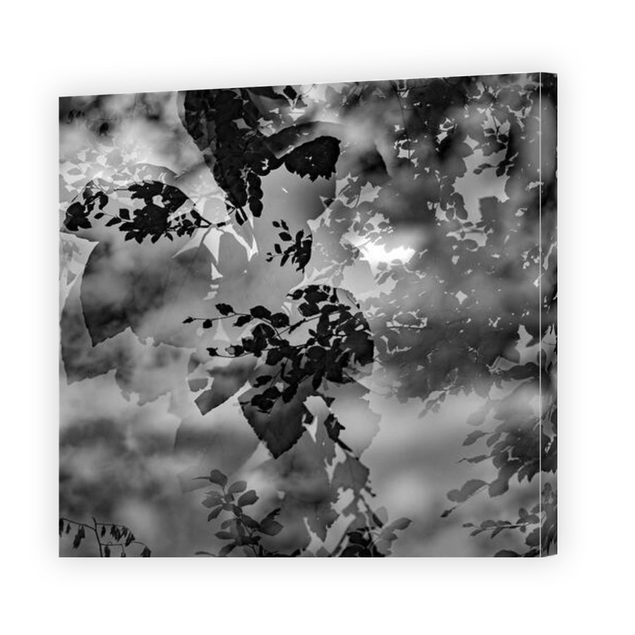 Thumbnail for Canvas - Gallery Canvas Wrap