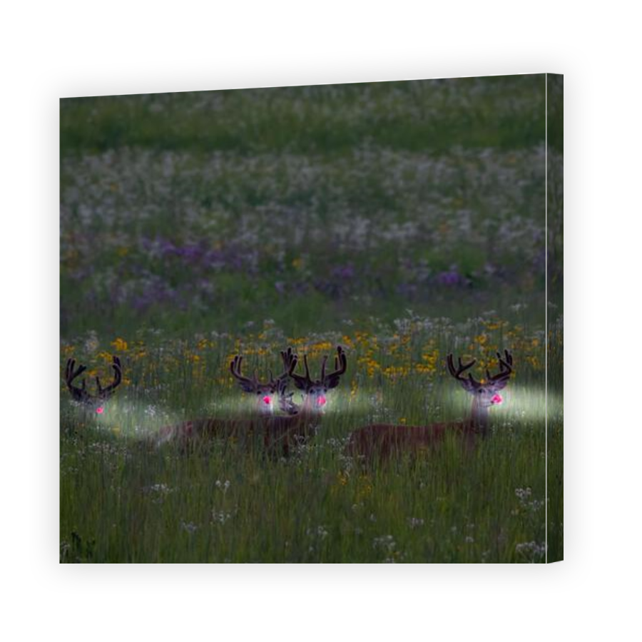 Thumbnail for Canvas - Gallery Canvas Wrap
