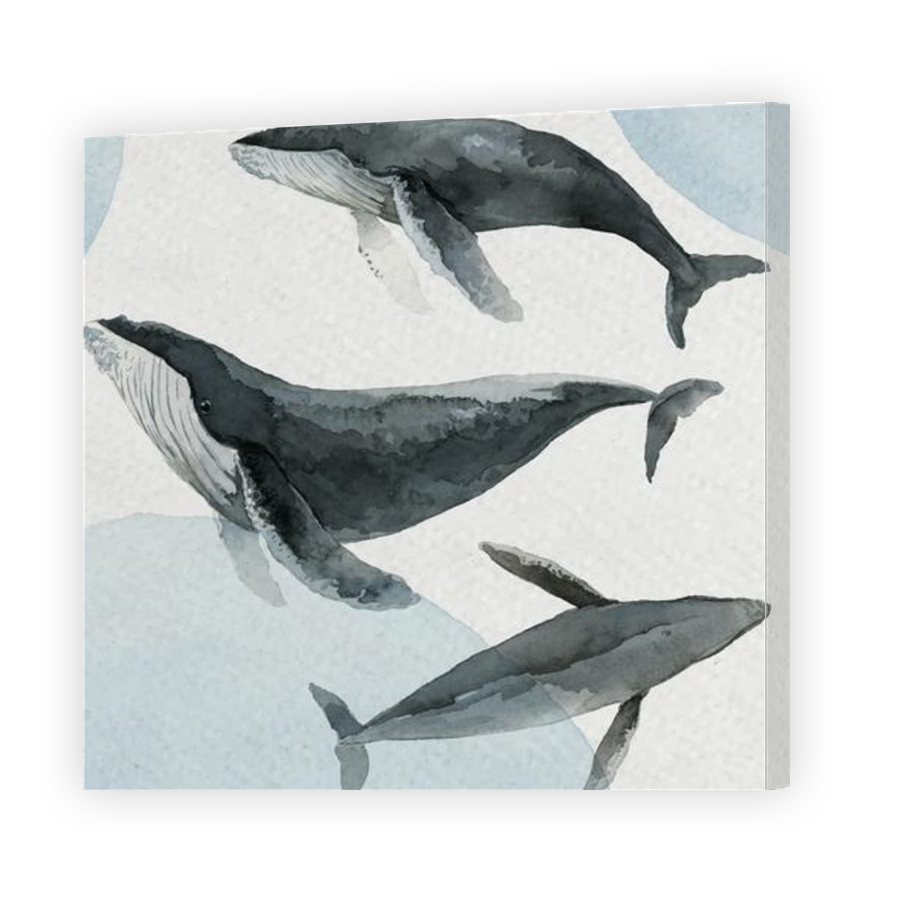 Thumbnail for Canvas - Gallery Canvas Wrap