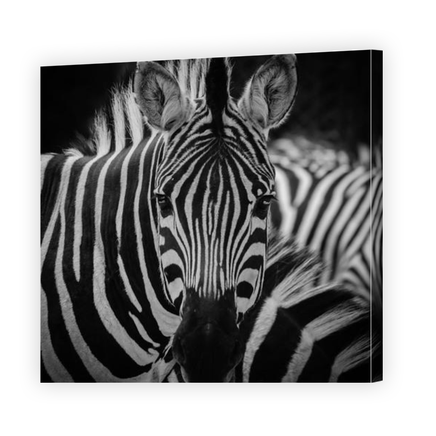 Thumbnail for Canvas - Gallery Canvas Wrap
