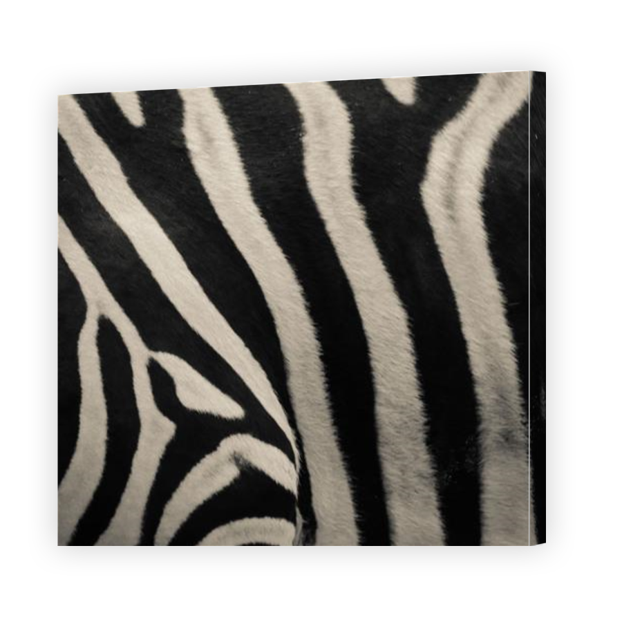 Thumbnail for Canvas - Gallery Canvas Wrap