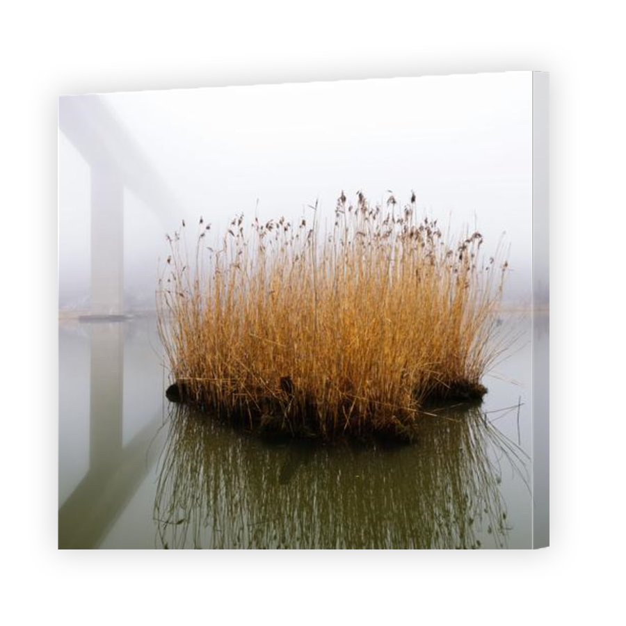 Thumbnail for Canvas - Gallery Canvas Wrap