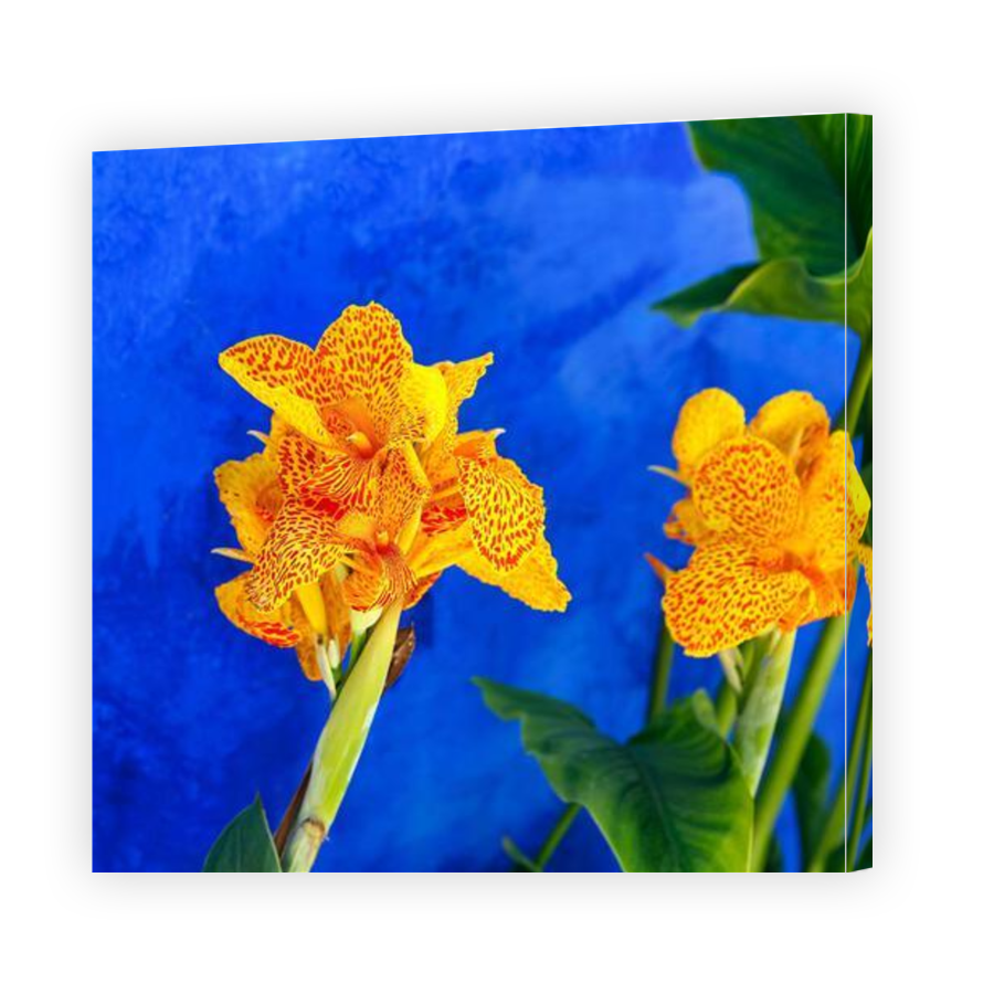 Thumbnail for Canvas - Gallery Canvas Wrap