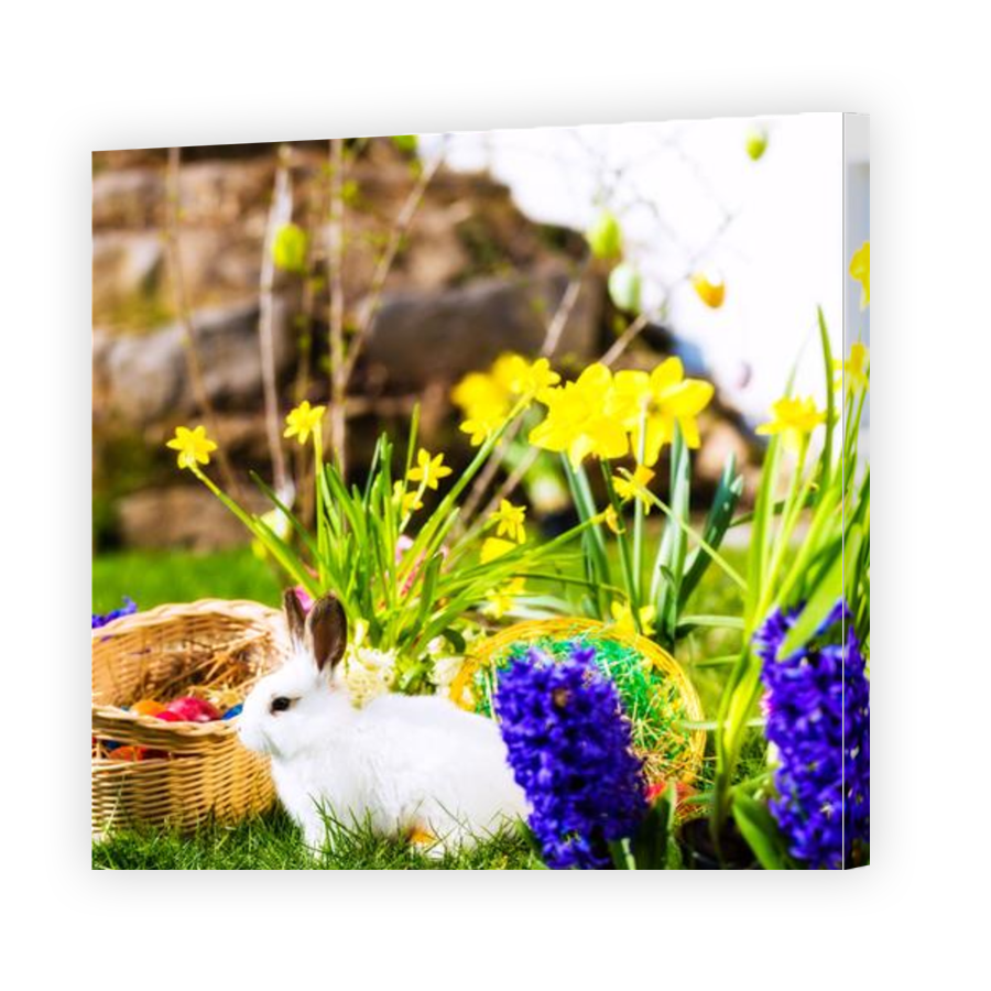 Thumbnail for Canvas - Gallery Canvas Wrap