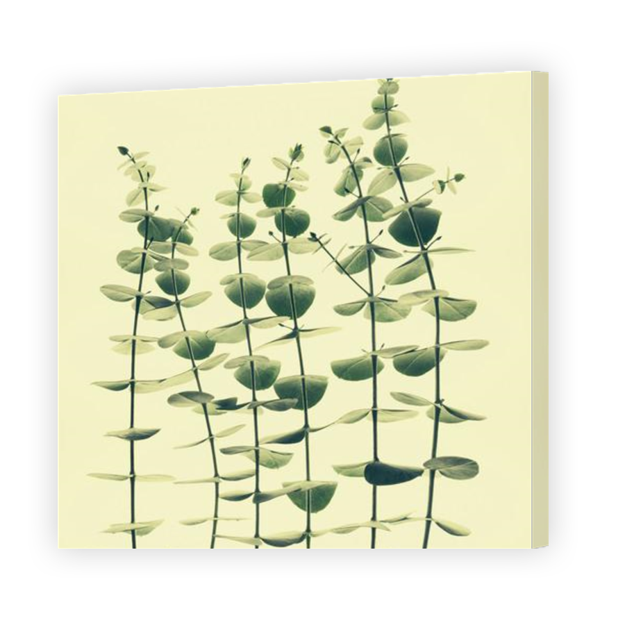 Thumbnail for Canvas - Gallery Canvas Wrap