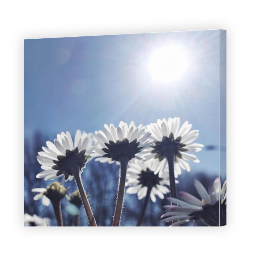 Thumbnail for Canvas - Gallery Canvas Wrap