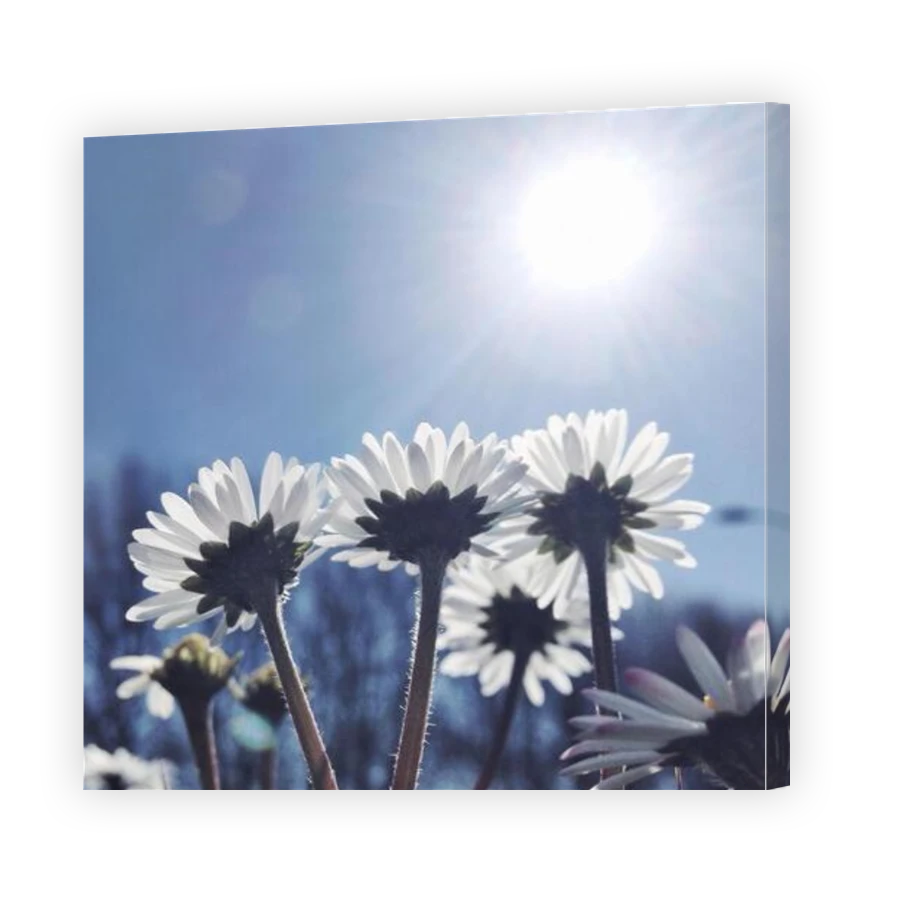 Thumbnail for Canvas - Gallery Canvas Wrap