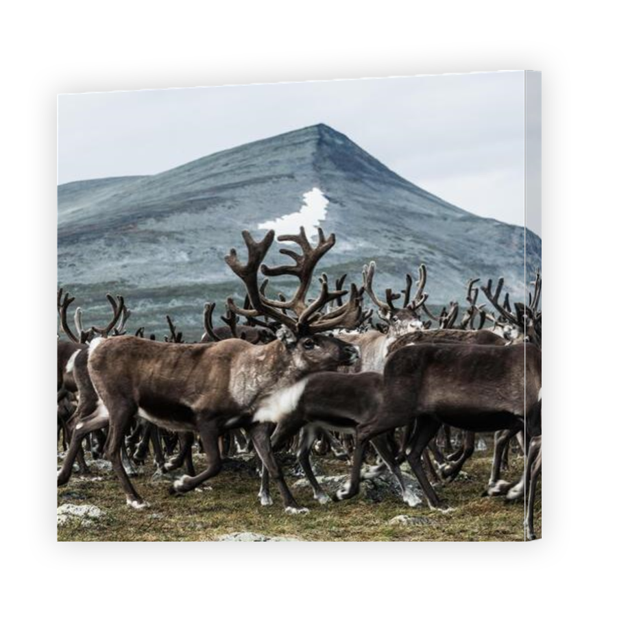 Thumbnail for Canvas - Gallery Canvas Wrap
