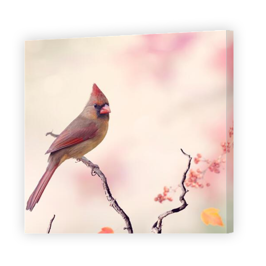 Thumbnail for Canvas - Gallery Canvas Wrap