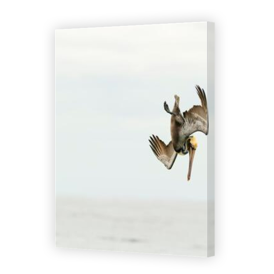 Thumbnail for Canvas - Gallery Canvas Wrap