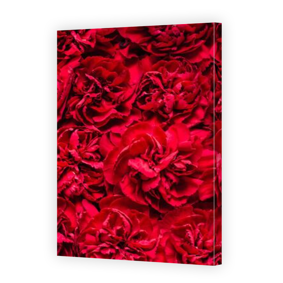 Thumbnail for Canvas - Gallery Canvas Wrap