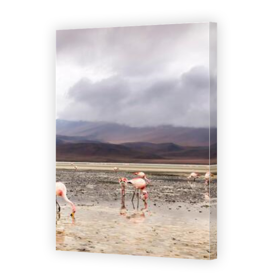 Thumbnail for Canvas - Gallery Canvas Wrap