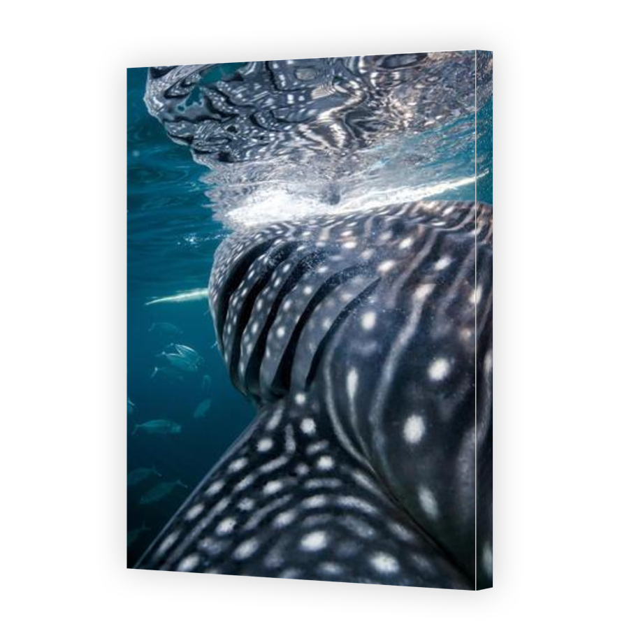 Thumbnail for Canvas - Gallery Canvas Wrap