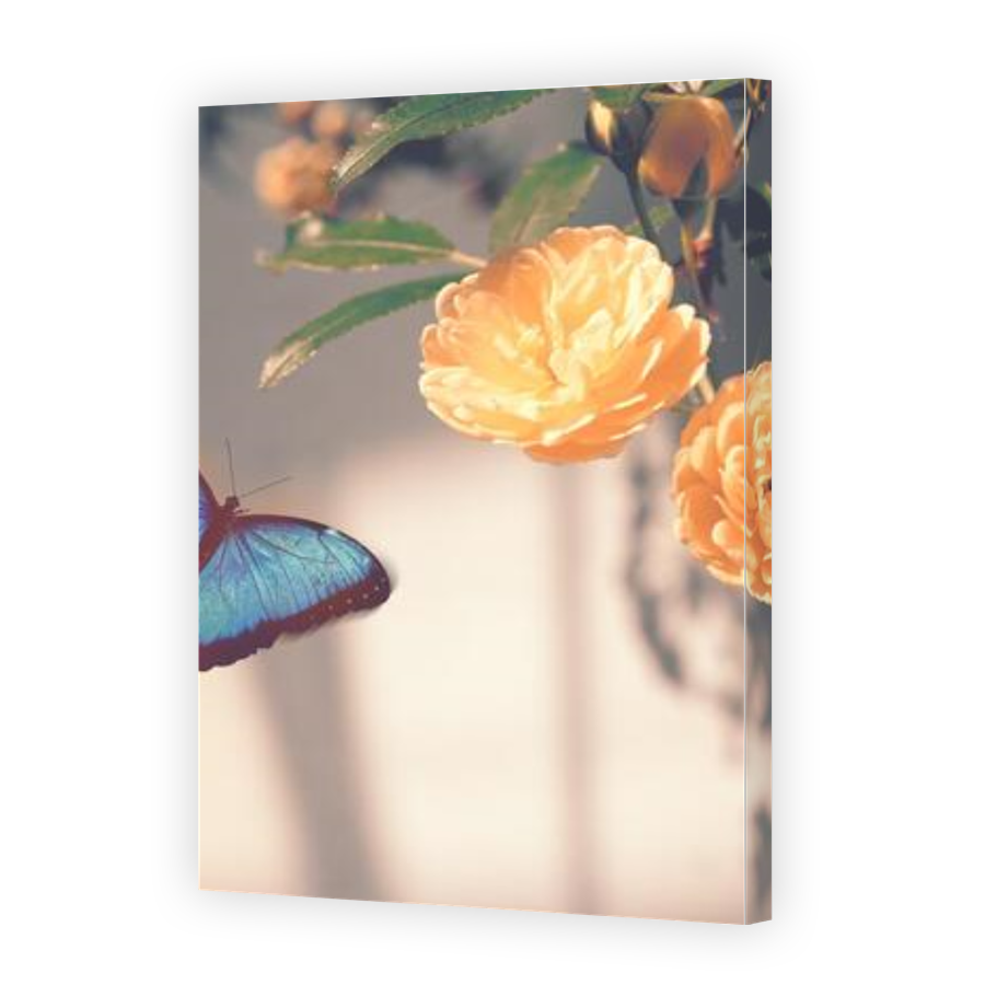 Thumbnail for Canvas - Gallery Canvas Wrap