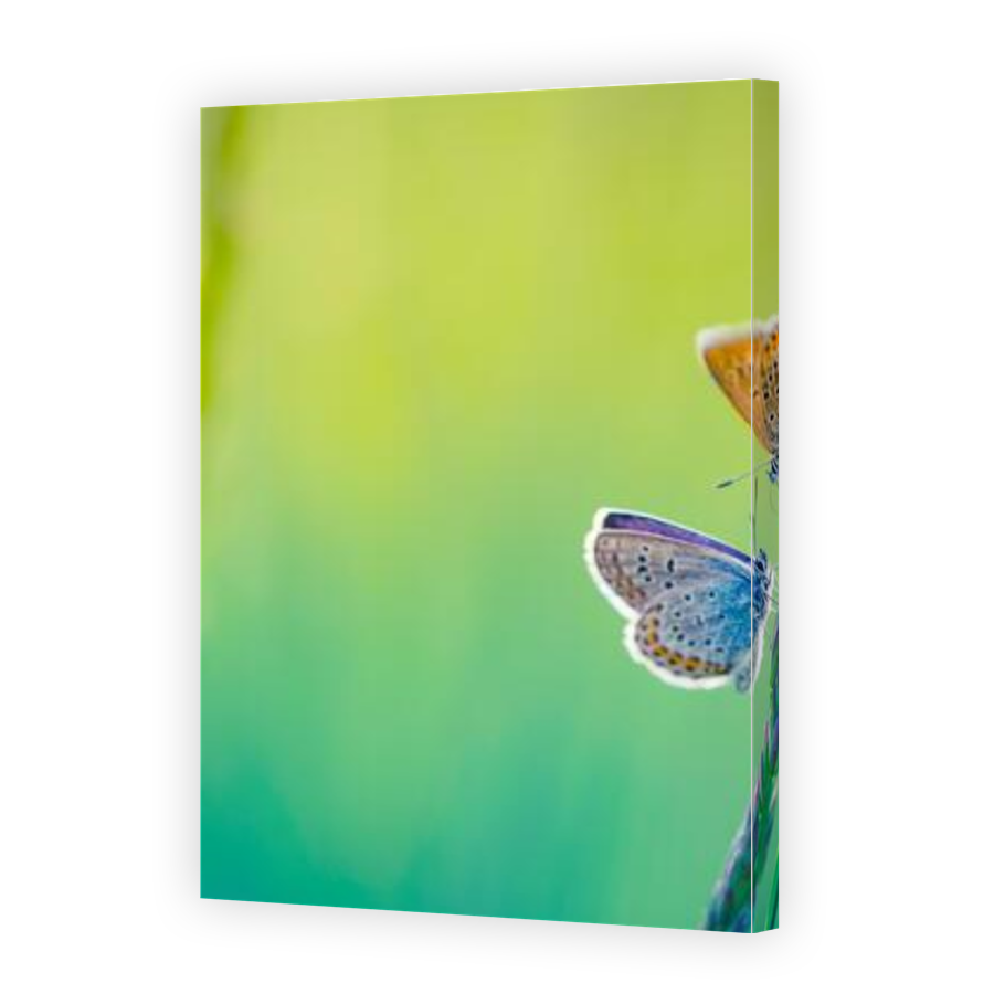 Thumbnail for Canvas - Gallery Canvas Wrap