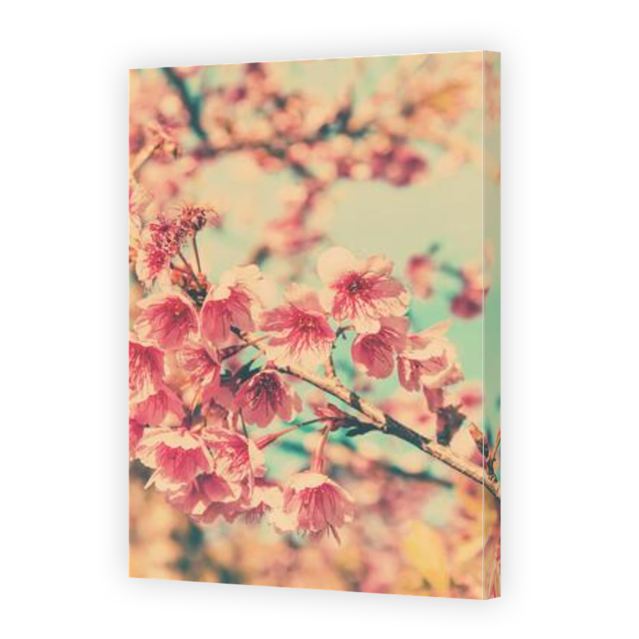 Thumbnail for Canvas - Gallery Canvas Wrap
